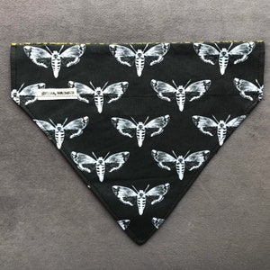 Death Head Moth Dog or Cat Bandana