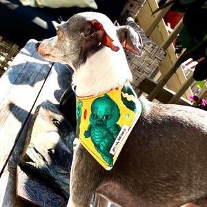 May include: A dog bandana featuring a yellow background with a green creature graphic and small red candy illustrations. The fabric accessory has a white tag with black text that reads TOYSTAR HANDMADE and is worn around the neck of a dog.
