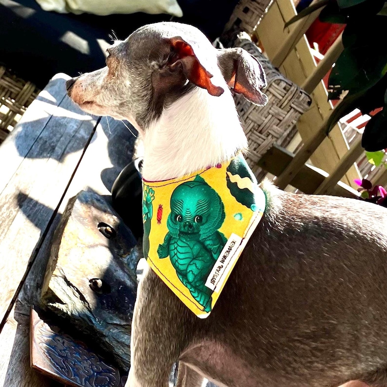 May include: A dog bandana featuring a yellow background with a green creature graphic and small red candy illustrations. The fabric accessory has a white tag with black text that reads TOYSTAR HANDMADE and is worn around the neck of a dog.