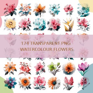 174 flores PNG transparentes de acuarela. Rosa, tulipán, violeta, lirio, margarita, dalia, clavel, orquídea, girasol, flor de cerezo y más.