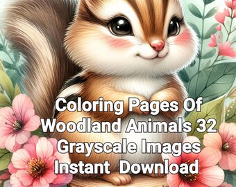 Woodland Animals Coloring Pages, 32 Grayscale Images (Digital Download)