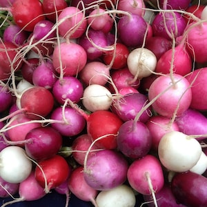 Easter Egg Radish Seeds, Radish Seeds, Organic Radish Seeds, Vegetable Seeds
