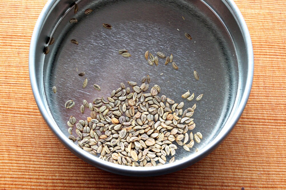 Parsley Herb Seeds Italian Flat Leaf Parsley Seeds Parsley Etsy