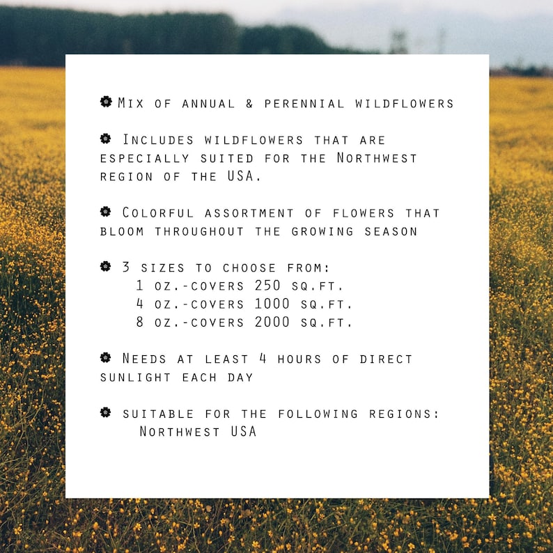 May include: A white card with black text describing a mix of annual and perennial wildflowers. The text includes information about the wildflowers, such as the size options, coverage area, sunlight requirements, and suitable regions. The card is set against a background of yellow wildflowers.