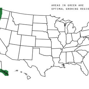 May include: A map of the United States showing the optimal growing regions in green. The text "AREAS IN GREEN ARE OPTIMAL GROWING REGIONS" is at the top of the map.