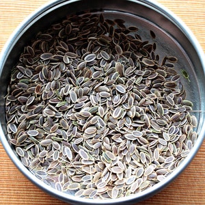 May include: A metal container filled with a large quantity of dried dill seeds. The seeds are a light brown color with a slightly green hue.
