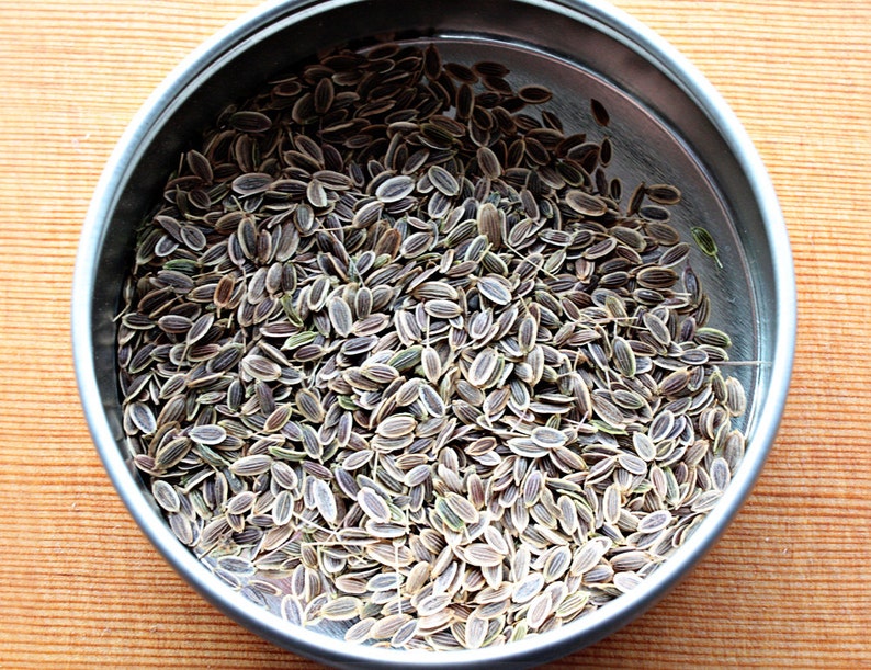 May include: A metal container filled with a large quantity of dried dill seeds. The seeds are a light brown color with a slightly green hue.