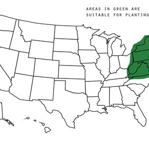 May include: A map of the United States with the areas in green representing suitable locations for planting.  "AREAS IN GREEN ARE SUITABLE FOR PLANTING." is written at the top of the map.