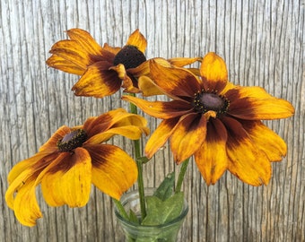 Gloriosa Daisy Seeds, Rudbeckia Seeds, Butterfly Garden Seeds, Organic Flower Seeds, Flower Seeds