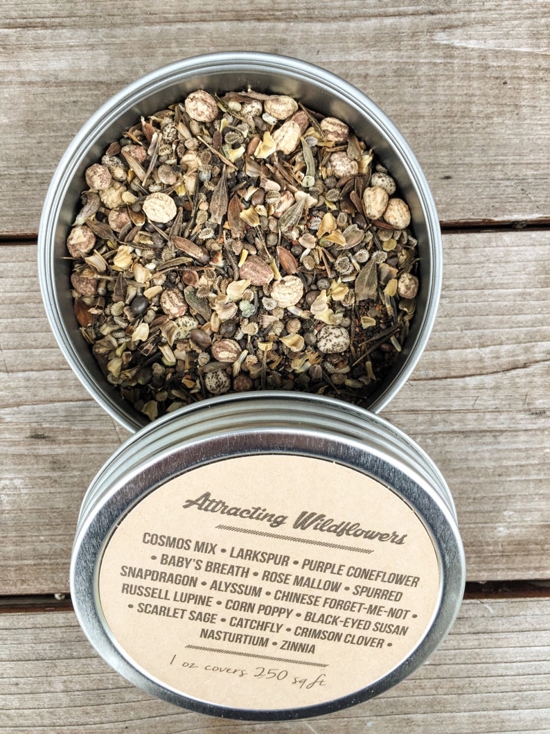 Pacific NW Wildflower Seeds 1 oz. 4 oz. 8 oz. Bulk Etsy