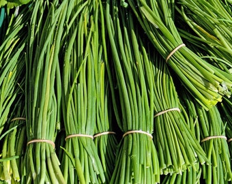 Chives Herb Seeds, Chives Seed, Organic Chives Seed, Organic Herb Seeds, Herb Garden Seeds, Herb Seeds