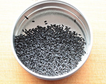 Basil Seeds - Genovese Basil Seeds, Italian Basil Seeds, Lemon Basil, Thai Basil Seeds