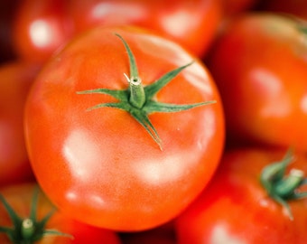 Hamson Tomato Seeds, Organic Tomato Seeds, Organic Beefsteak Tomato Seeds, Beefsteak Tomato Seeds, Organic Vegetable Seeds