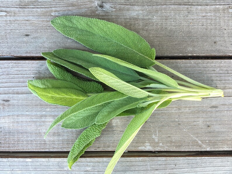 May include: A bunch of fresh green sage leaves on a weathered wooden surface.