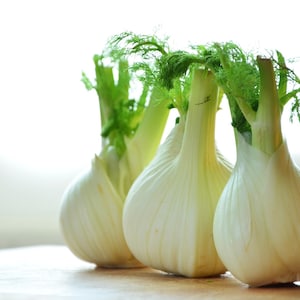 Fennel Seeds, Fennel &#39;Finocchio&#39; seeds, herb seeds, organic herb seeds