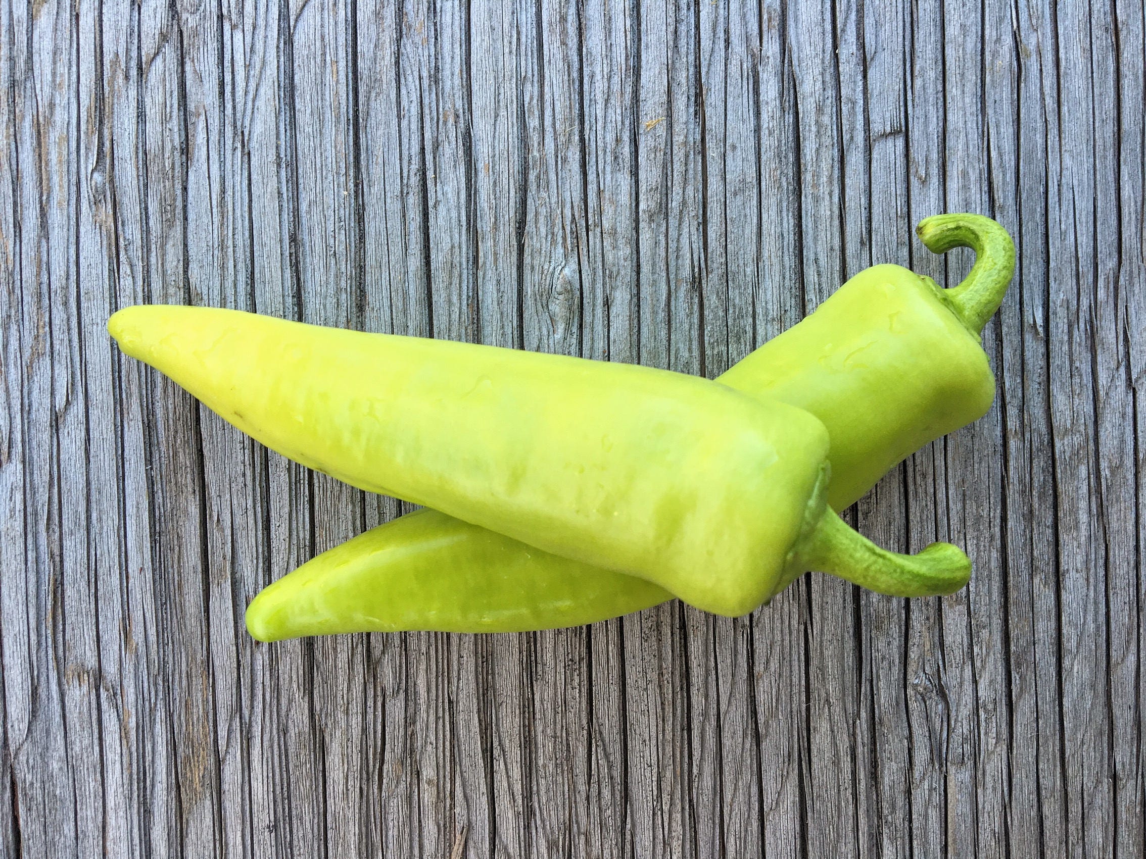 Sweet Banana Pepper Seeds, Pepper Seeds, Sweet Pepper Seeds, Banana