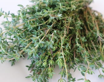 English Thyme Herb Seeds, Thyme Seeds, English Thyme Seeds, Herb Seeds, Herb Garden Seeds, Organic Herb Seeds, Organic Thyme Seeds