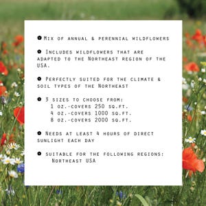 May include: A white card with black text describing a mix of annual and perennial wildflowers. The text includes information about the wildflowers' suitability for the Northeast region of the USA, the amount of sunlight they need, and the sizes available. The card is set against a background of a field of red, white, and blue wildflowers.