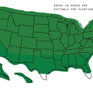 May include: A map of the United States showing areas in green that are suitable for planting. The text "AREAS IN GREEN ARE SUITABLE FOR PLANTING." is at the top of the map.
