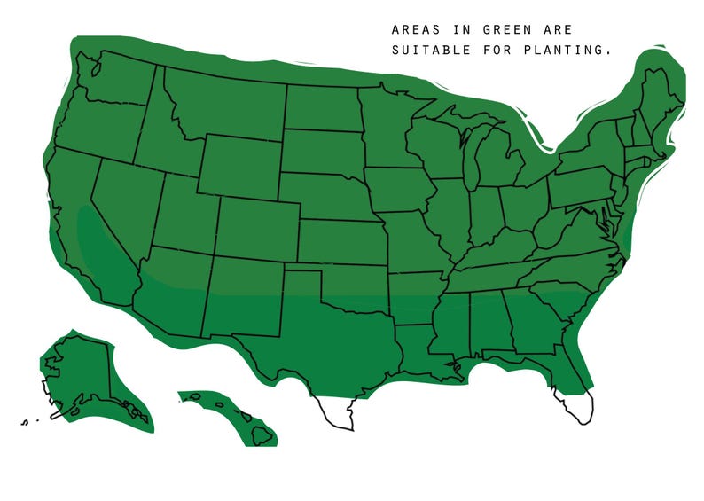 May include: A map of the United States showing areas in green that are suitable for planting. The text "AREAS IN GREEN ARE SUITABLE FOR PLANTING." is at the top of the map.