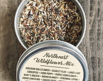 Northeast Wildflower Seeds 1 oz., 4 oz., 8 oz., wildflower seeds, organic wildflower seeds, bulk wildflower seeds,