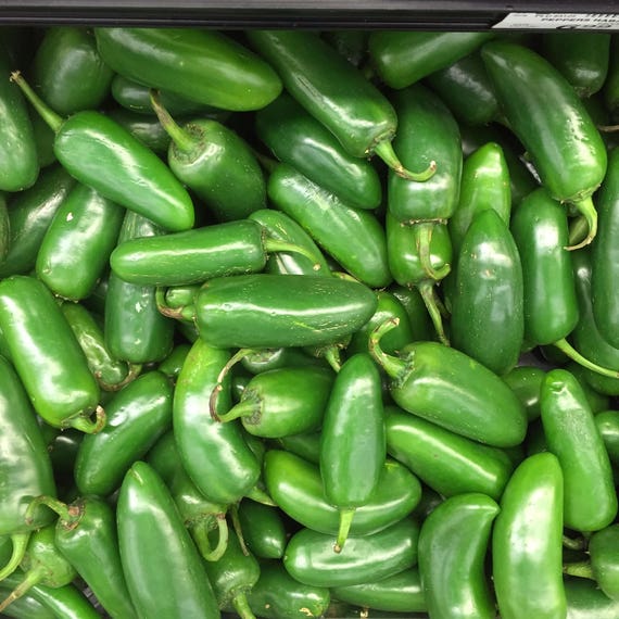 Chili Pepper Hot Jalapeno Vert Early-biologique//Bio 50 graines