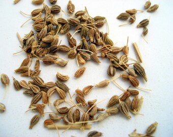 Anise Herb Seeds, Anise Seeds, Herb Seeds, Herb Garden Seeds, Herb Garden