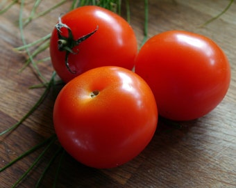 Moneymaker Tomato Seeds, Vegetable Seeds, Organic Tomato Seeds, Red Tomato Seeds, Heirloom Tomato Seeds, Organic Vegetable Seeds