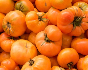 Amana Orange Tomato Seeds, Organic Tomato Seeds, Orange Tomato Seeds, Heirloom Tomato Seeds