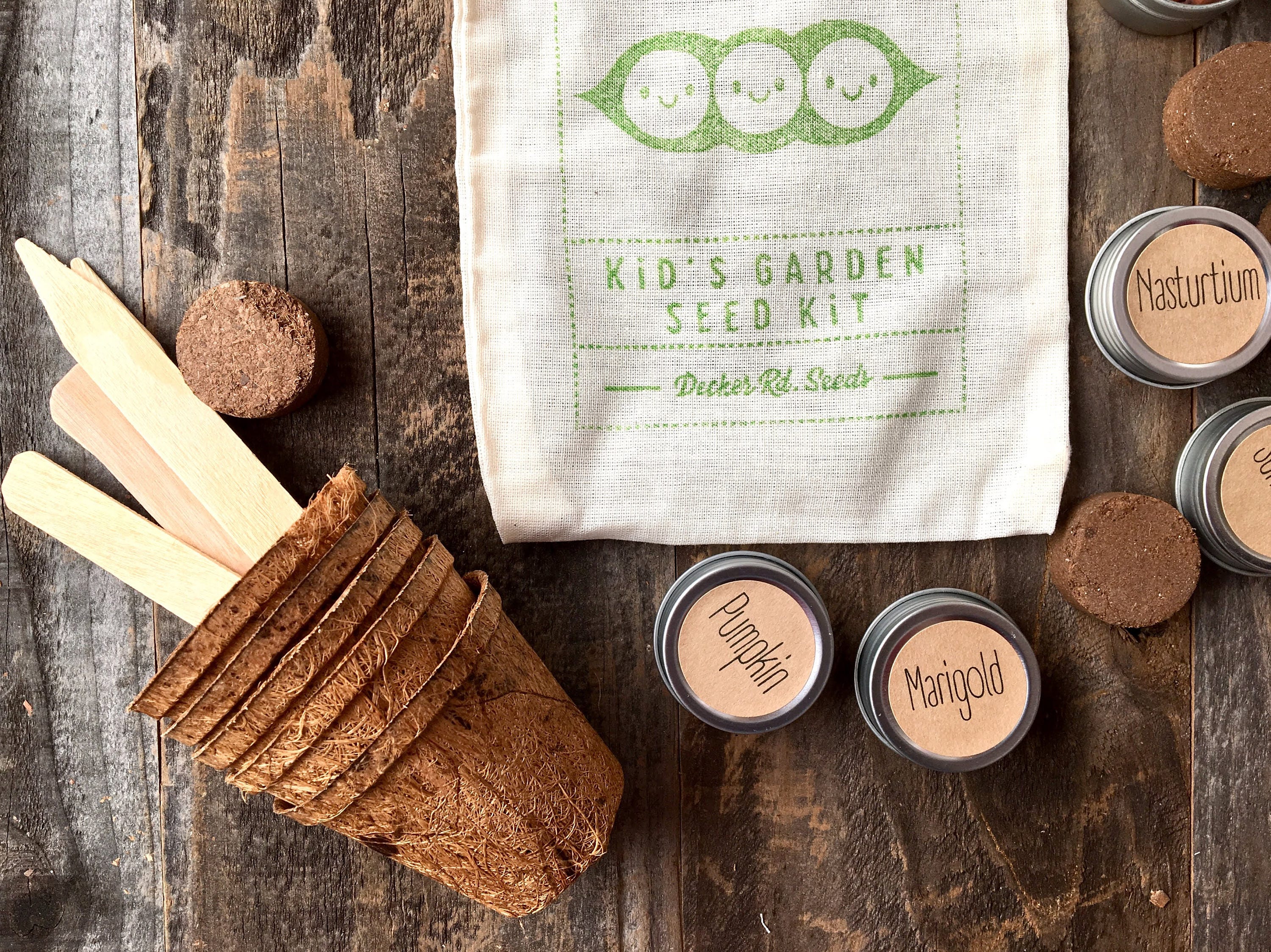 Children's Garden Seed Kit, kid's garden kit, kid's seed …