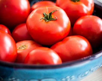 Ace Tomato Seeds, Tomato Seeds, Vegetable Garden Seeds, Organic Garden, Red Tomato Seeds, Heirloom Tomato Seeds, Organic Tomato Seeds