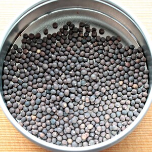 May include: A metal container filled with small, dark brown seeds.
