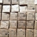 Owner of <a href='https://www.etsy.com/shop/deckerrdseeds?ref=l2-about-shopname&from_page=listing' class='wt-text-link'>deckerrdseeds</a>