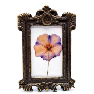 Vintage Classic Brass Photo Frame, brass frame, metal frame 2x3&quot;