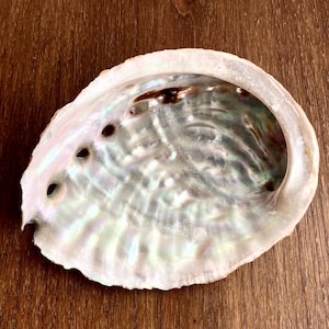 Vintage Shell Soap Dish, Decorative Shell Mother of Pearl, Shell, Vintage Shell, Soap Dish, Natural vintage shell, Ring Dish