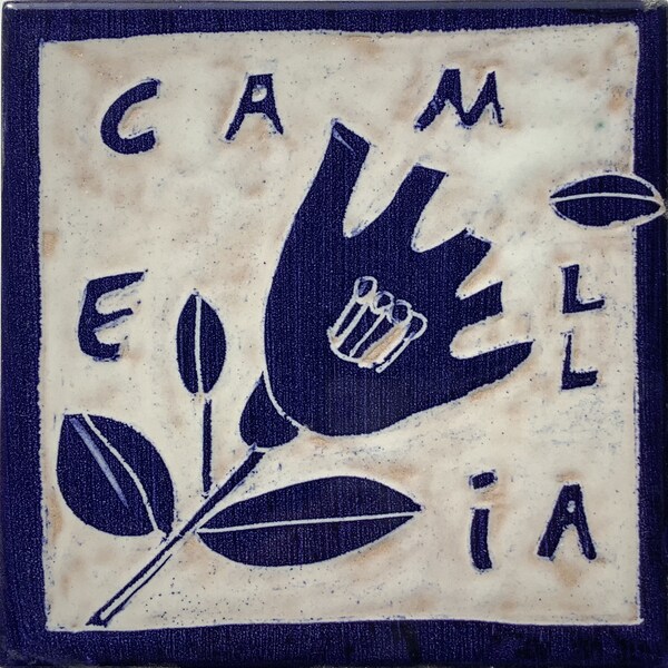 CAMELLiA 2