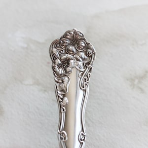 May include: Close-up of the ornate handle of a silver spoon, featuring a floral design with raised details.