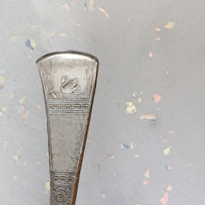 May include: Close-up of the top of a silver spoon with an engraved design of a swan in a pond. The spoon has a decorative border around the top.