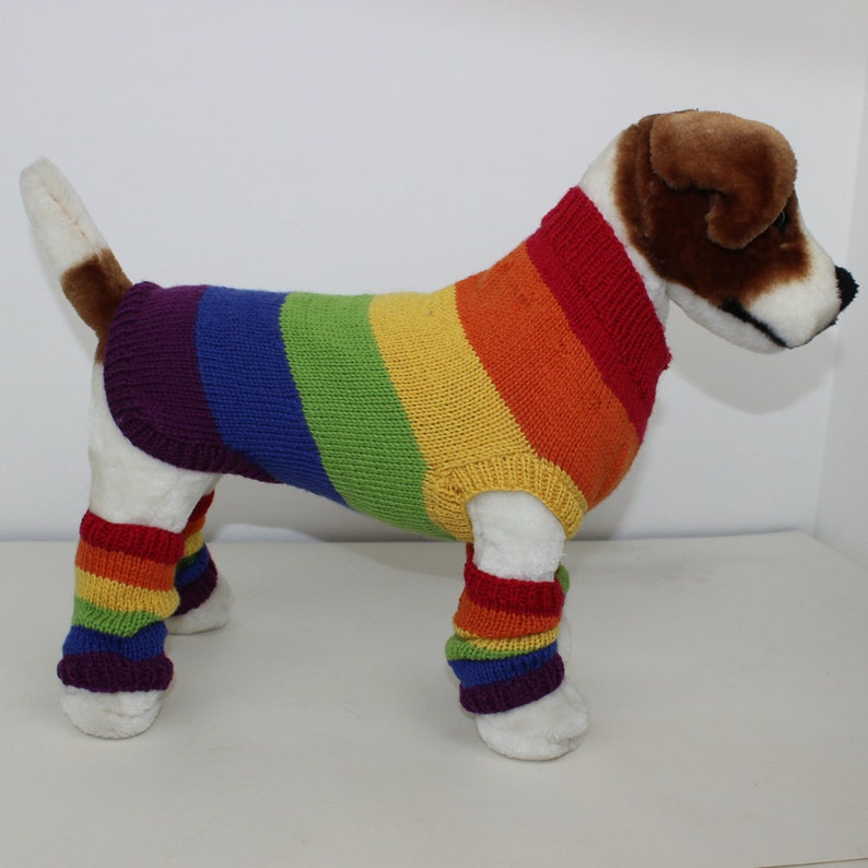 Rainbow Dog Coat and Legwarmers knitting pattern by madmonkeyknits instant digital file pdf download knitting pattern image 1