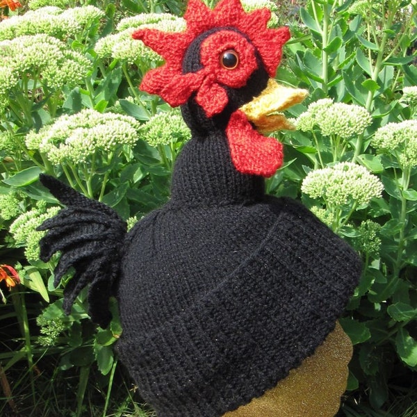 Henry's Hen Thyme Beanie Mütze Strickanleitung - sofortiger digitaler pdf download