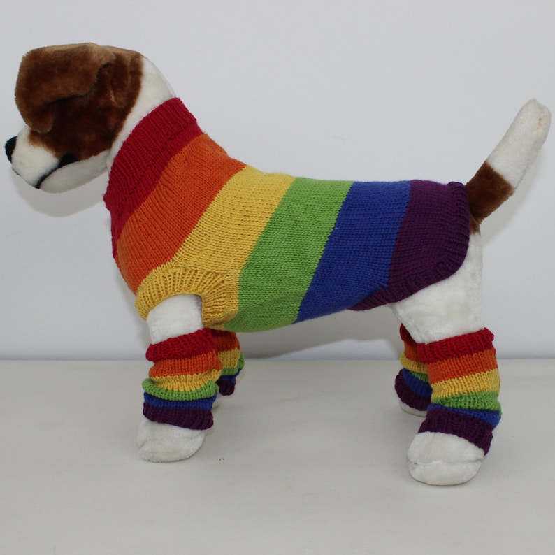 Rainbow Dog Coat and Legwarmers knitting pattern by madmonkeyknits instant digital file pdf download knitting pattern image 3