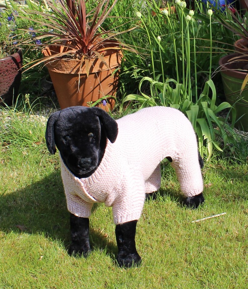 Madmonkeyknits Dog Chunky Garter Stitch Onesie Knitting Etsy UK