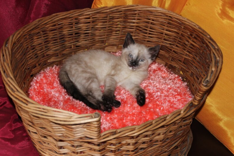 Instant Digital File pdf download Knitting pattern-Cat Basket Fluffy Cushion Pillow pdf download knitting pattern image 1
