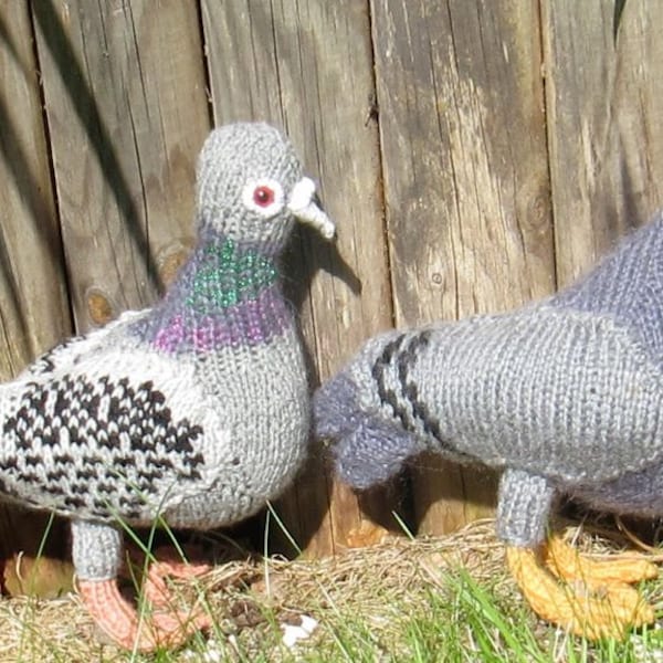 Digital pdf file Knitting Pattern -My Pet Pigeons toy bird madmonkeyknits knitting pattern pdf download