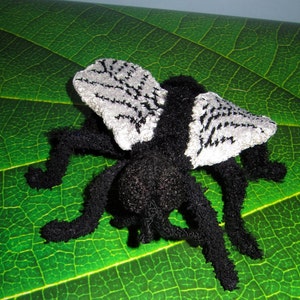 Instant Digital pdf download knitting pattern-Not So Common House Fly toy knitting pattern pdf download by madmonkeyknits image 5