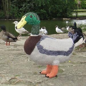 Instant Digital File pdf download Knitting Pattern My Pet Mallard Duck Toy Animal pdf download knitting pattern image 1