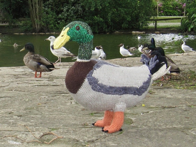 Instant Digital File pdf download Knitting Pattern My Pet Mallard Duck Toy Animal pdf download knitting pattern image 1