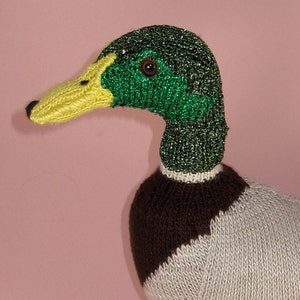 Instant Digital File pdf download Knitting Pattern My Pet Mallard Duck Toy Animal pdf download knitting pattern image 3