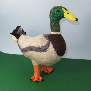 Instant Digital File pdf download Knitting Pattern My Pet Mallard Duck Toy Animal pdf download knitting pattern image 4