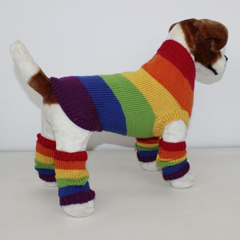 Rainbow Dog Coat and Legwarmers knitting pattern by madmonkeyknits instant digital file pdf download knitting pattern image 2